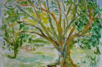 202. Platane auf dem Brehm (2026), 50×64, Aquarell